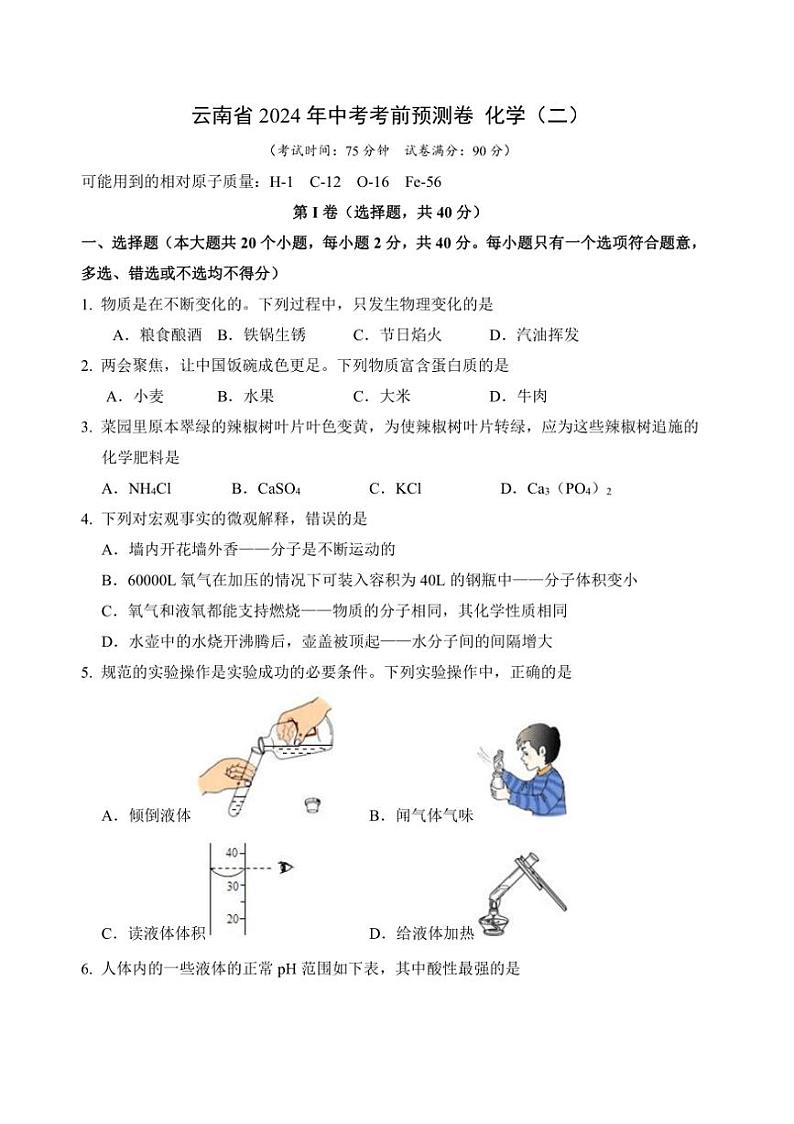 [化学]2024年云南省中考考前预测卷化学（二）（无答案）01