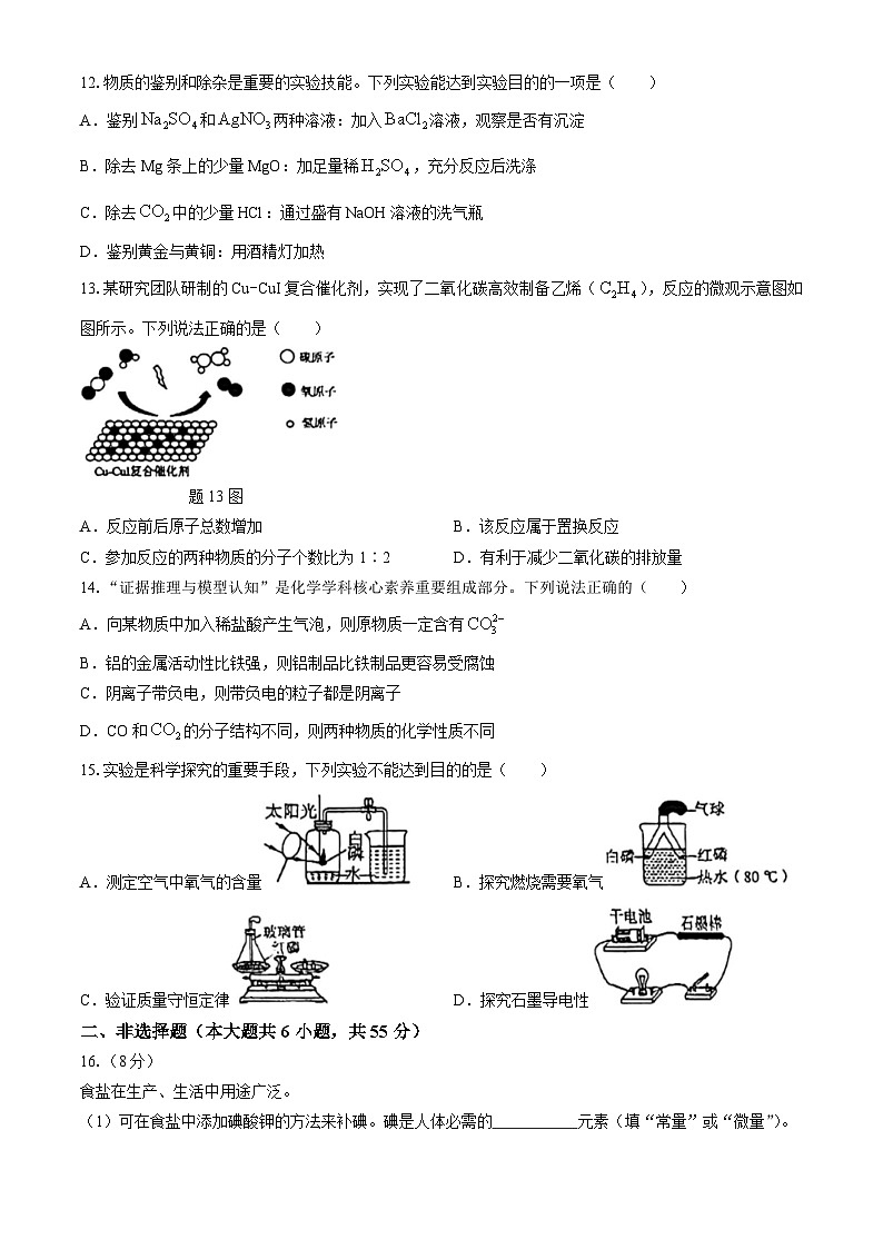2024年广东省东莞市南城阳光实验中学中考化学三模试卷(无答案)03