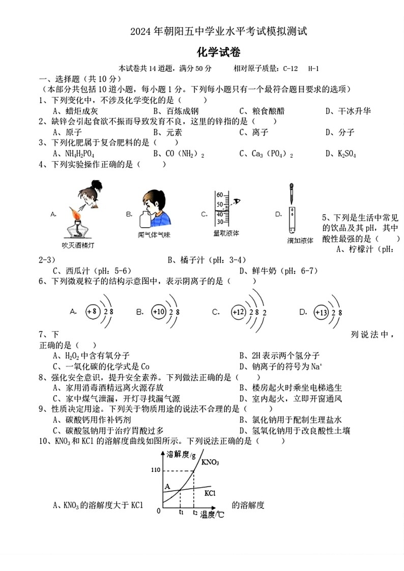 [化学]2024年辽宁省朝阳市第五中化学中考模拟测试化学试卷（图片版，含手写板答案）第1页