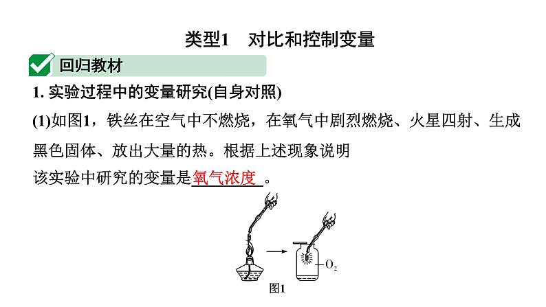 2024成都中考化学二轮复习之中考题型研究 专题二 横向实验归类练（课件）第2页