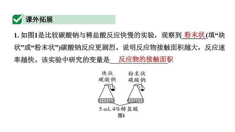 2024成都中考化学二轮复习之中考题型研究 专题二 横向实验归类练（课件）第8页