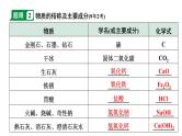 2024成都中考化学二轮复习之中考题型研究 专题四 物质的推断与转化（课件）