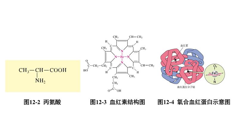 2024成都中考化学复习“四清”回归教材12第十二单元化学与生活 课件第3页