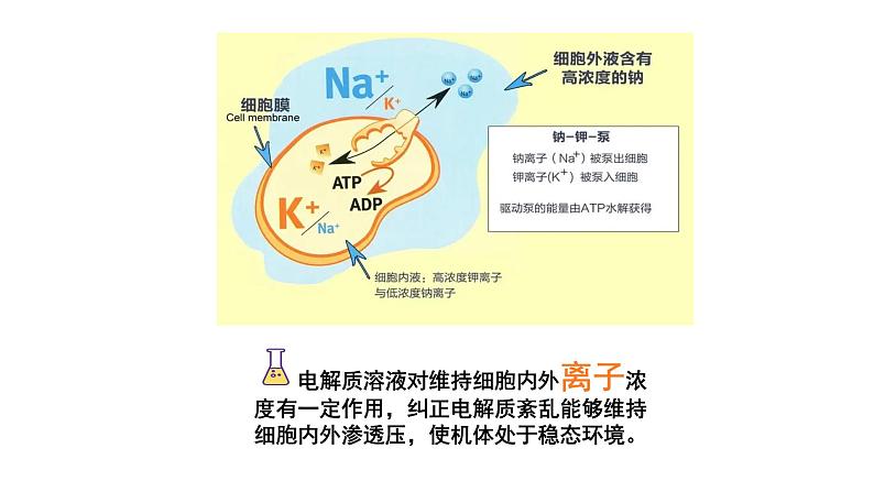 2024成都中考化学复习-大自然的“盐”工厂——基于项目式学习的粗盐提纯探究 课件第3页