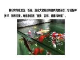 2024成都中考化学试题研究大单元复习-鱼在“囧”途 第1课时 认识锦鲤运输袋 课件