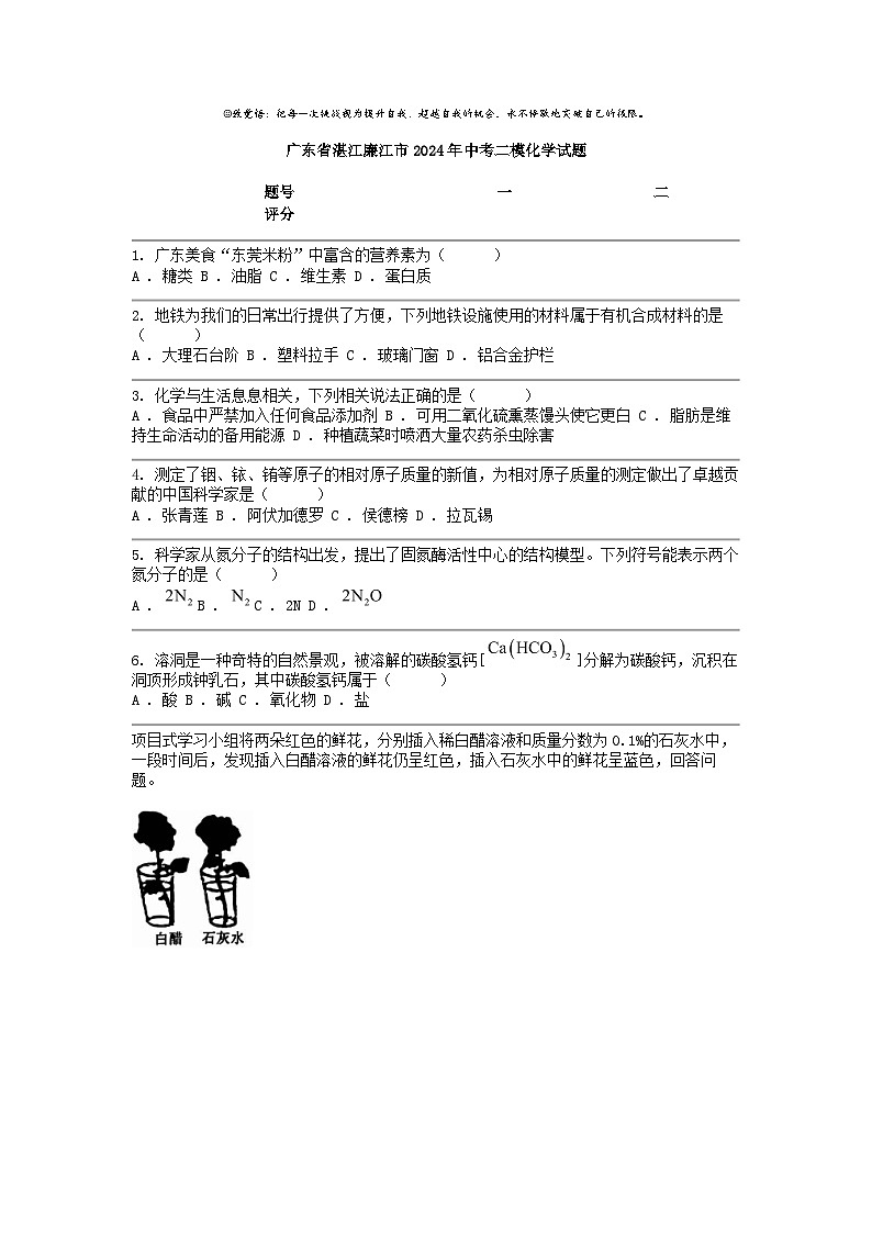 [化学][二模]广东省湛江廉江市2024年中考试题01