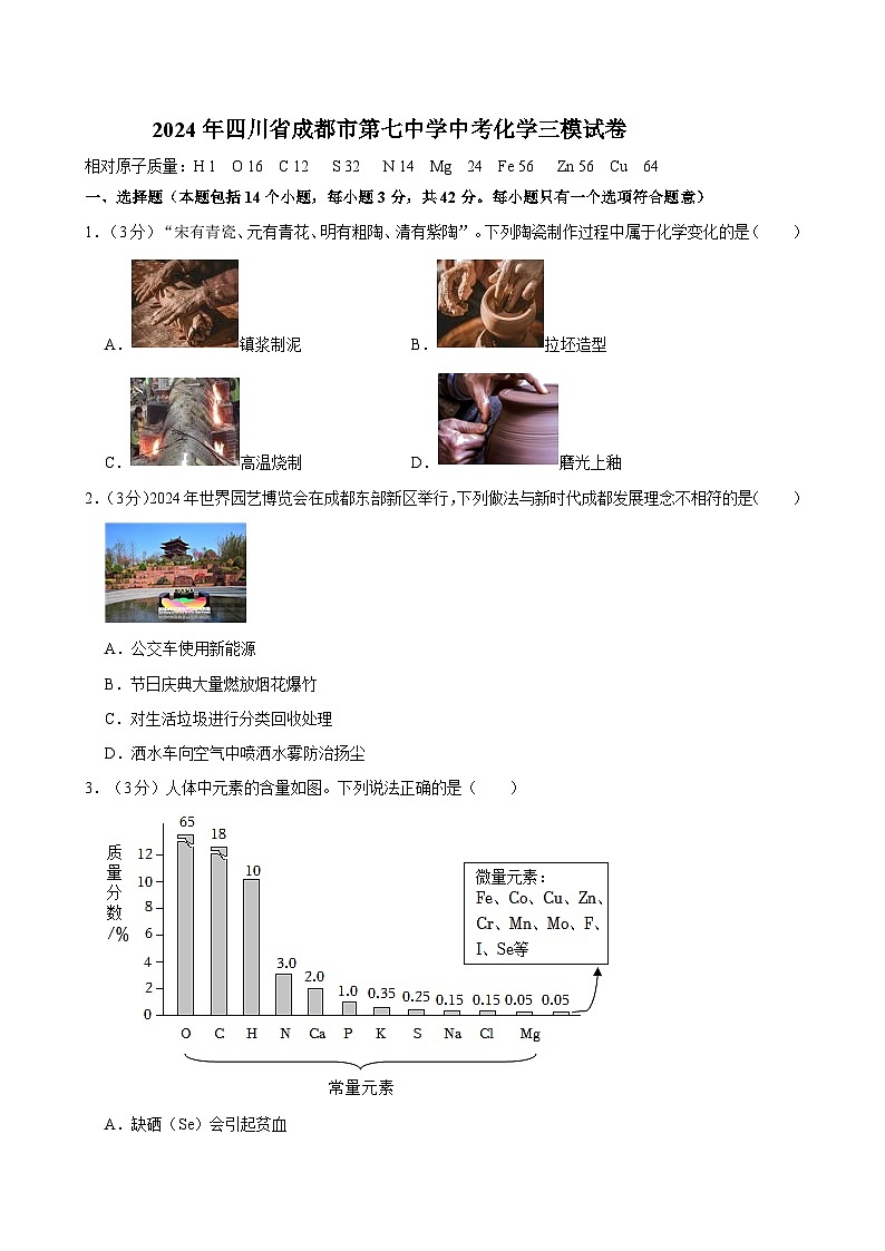 2024年四川省成都市第七中学中考化学三模试卷01