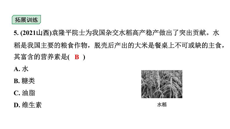 2024福建中考化学二轮中考题型研究 化学物质与健康 常见的合成材料（课件）第5页