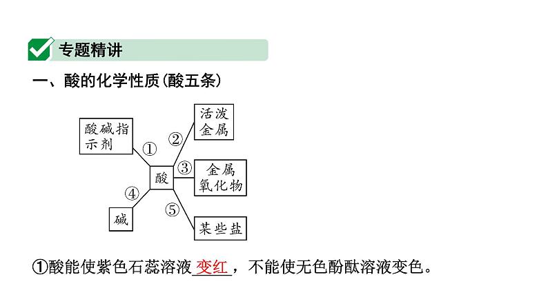 2024福建中考化学一轮复习 微专题2 酸碱盐的化学性质（课件）第2页