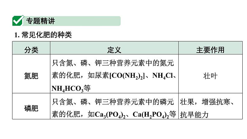 2024福建中考化学一轮复习 微专题3 化学肥料（课件）第2页