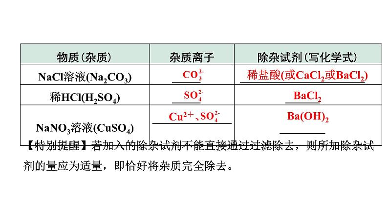 2024福建中考化学一轮复习 微专题5  物质的除杂（课件）第6页