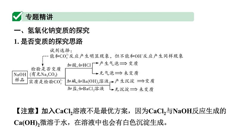 2024福建中考化学一轮复习 微专题8 碱变质的探究（课件）02