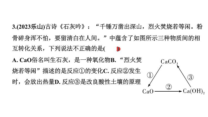 2024甘肃中考化学二轮复习之全国视野 推荐题型（课件）第4页