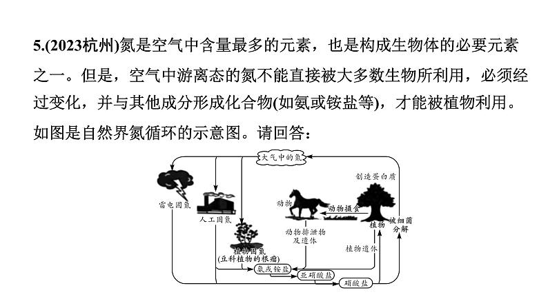 2024甘肃中考化学二轮复习之全国视野 推荐题型（课件）第8页