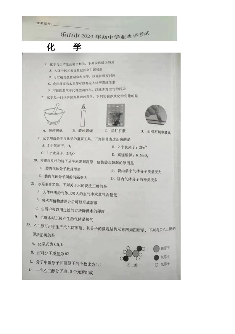 2024年四川省乐山市中考化学真题01
