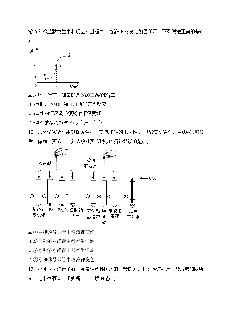 山东省滨州市经济技术开发区2024届九年级下学期学业水平质量检测（一）化学试卷(含答案)第3页