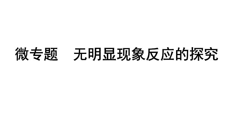 2024海南中考化学二轮重点专题突破 微专题 无明显现象反应的探究（课件）第1页