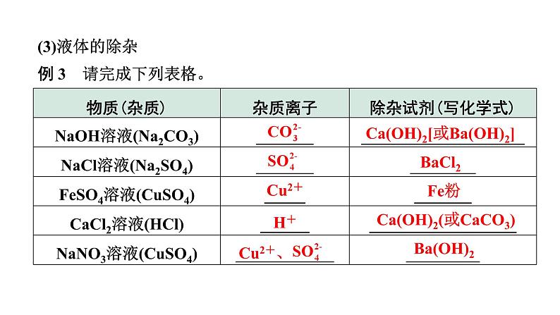 2024海南中考化学二轮重点专题突破 微专题 物质的除杂（课件）06