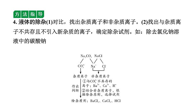 2024海南中考化学二轮重点专题突破 微专题 物质的除杂（课件）07