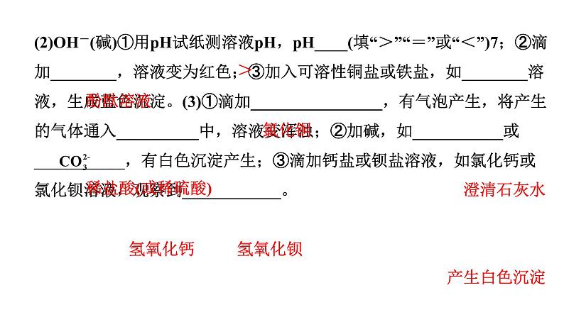 2024海南中考化学二轮重点专题突破 微专题 物质的检验与鉴别（课件）第5页