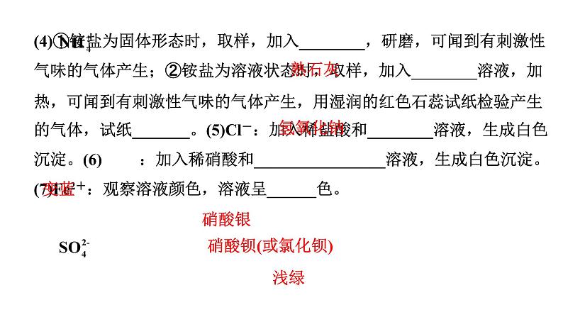 2024海南中考化学二轮重点专题突破 微专题 物质的检验与鉴别（课件）第6页