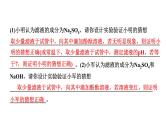 2024海南中考化学二轮重点专题突破 专题六 实验探究题（课件）
