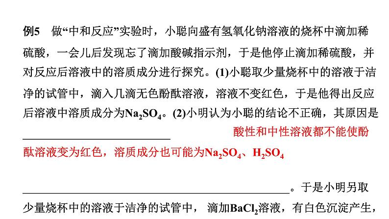 2024海南中考化学二轮重点专题突破 专题六 实验探究题（课件）08