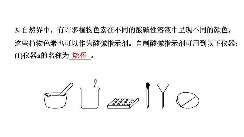 2024海南中考化学一轮复习 中考考点研究 第十单元 酸和碱（课件）第5页