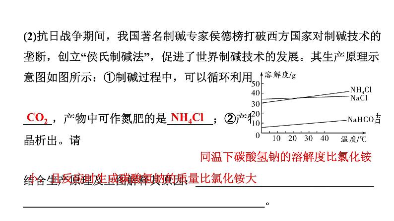 2024海南中考化学一轮复习 中考考点研究 第十一单元 盐　化肥（课件）第6页