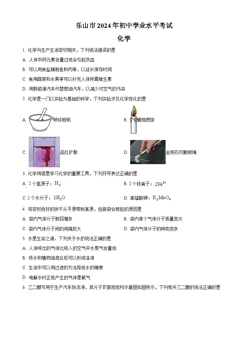 2024年中考真题—四川省乐山市化学试题（原卷版）第1页