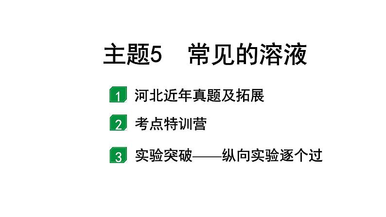 2024河北中考化学二轮重点专题突破 主题5 常见的溶液（课件）01