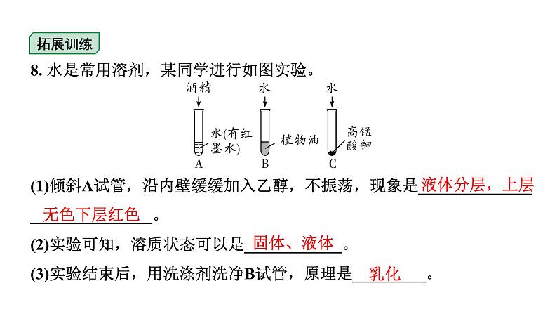 2024河北中考化学二轮重点专题突破 主题5 常见的溶液（课件）08