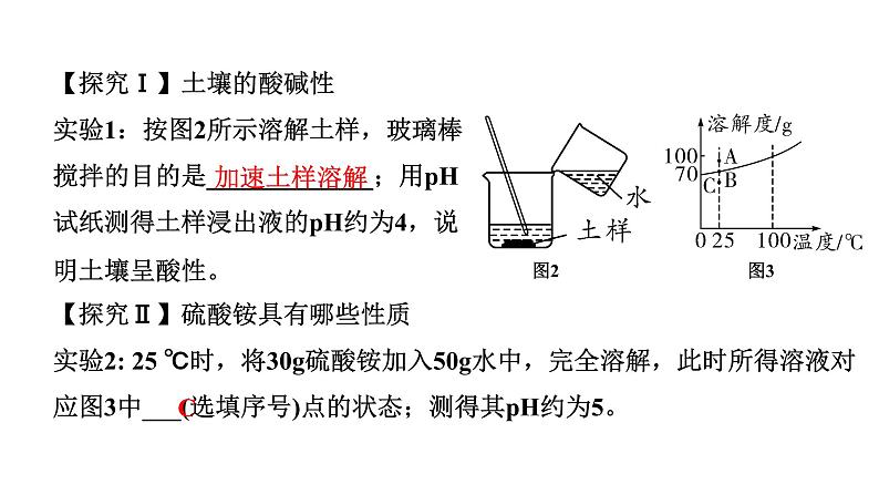 2024河北中考化学二轮重点专题突破 专题五 实验探究题（课件）03