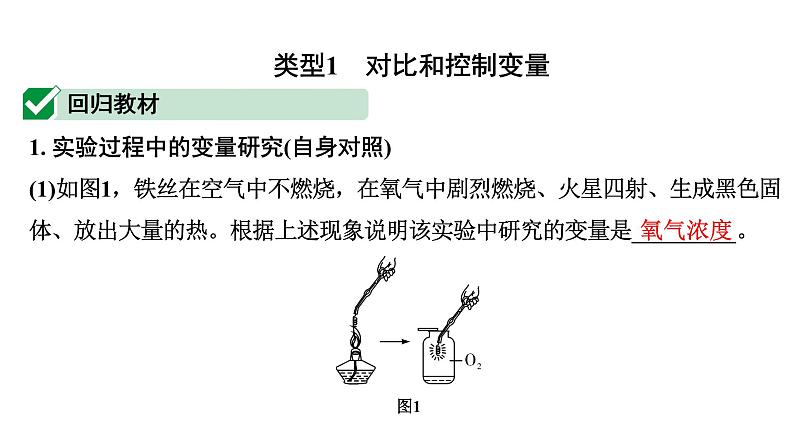 2024河南中考化学二轮重点专题突破 专题七  横向实验归类练（课件）第2页