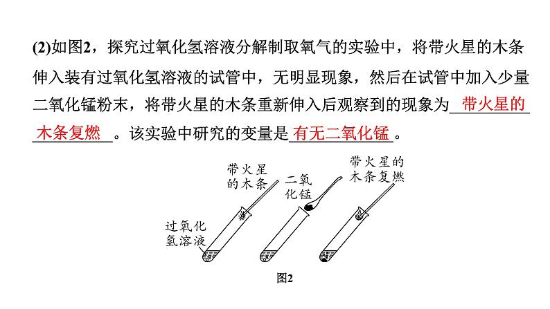 2024河南中考化学二轮重点专题突破 专题七  横向实验归类练（课件）第3页