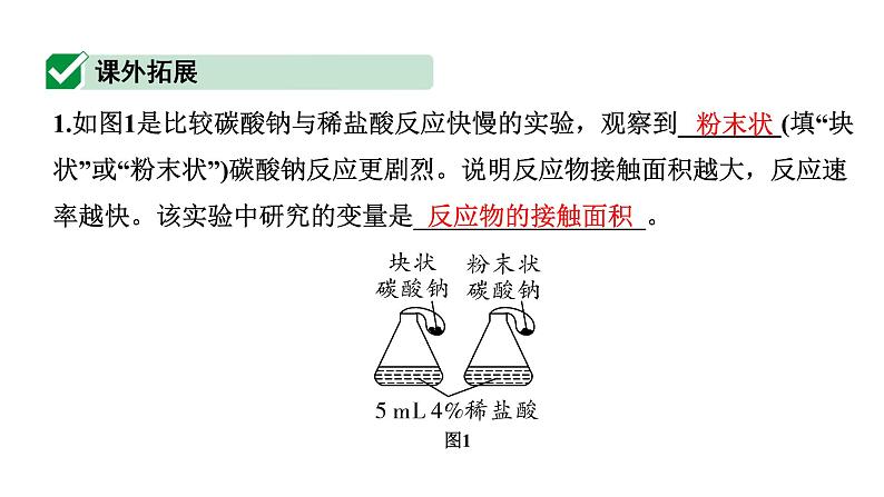 2024河南中考化学二轮重点专题突破 专题七  横向实验归类练（课件）第8页