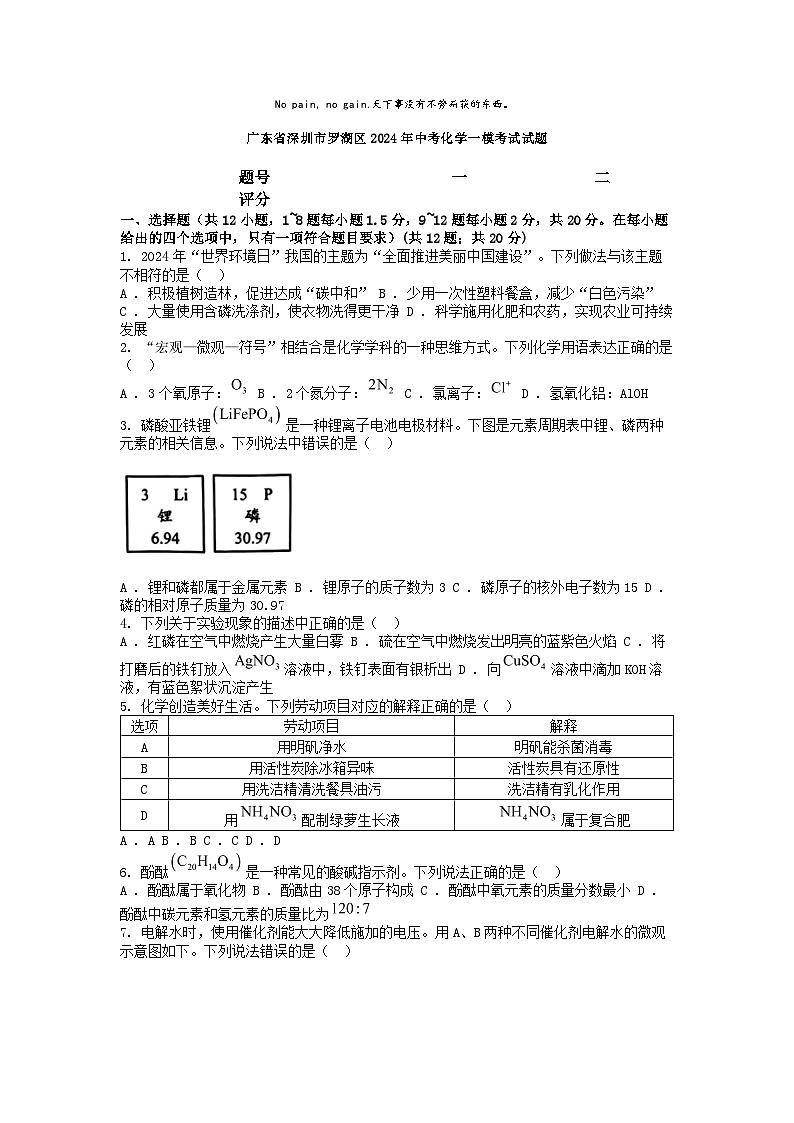 [化学][一模]广东省深圳市罗湖区2024年中考考试试题01
