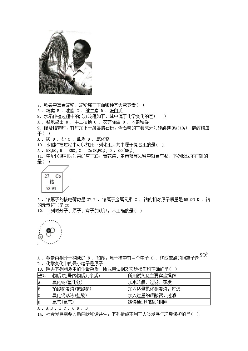 [化学][一模]广东省肇庆市2024年中考试题02