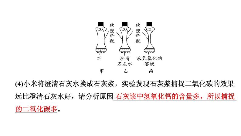 2024江苏中考化学二轮中考考点研究 题型二  项目性试题（课件）第4页