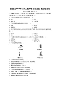 2024辽宁中考化学三轮冲刺专项训练 题组特训六（含答案）