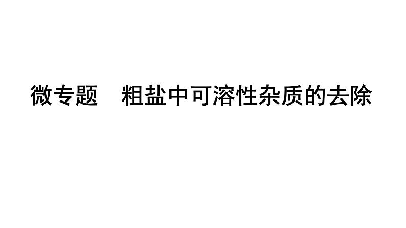 2024辽宁中考化学二轮重点专题研究 微专题 粗盐中可溶性杂质的去除（课件）第1页