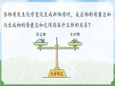 (2024)人教版化學(xué)九年級(jí)上冊(cè)（5-1）質(zhì)量守恒定律  PPT課件