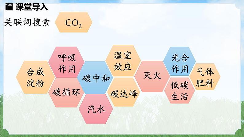 (2024)人教版化学九年级上册（6-2）碳的氧化性 第1课时 PPT课件03