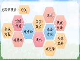 (2024)人教版化学九年级上册（6-2）碳的氧化性 第1课时 PPT课件