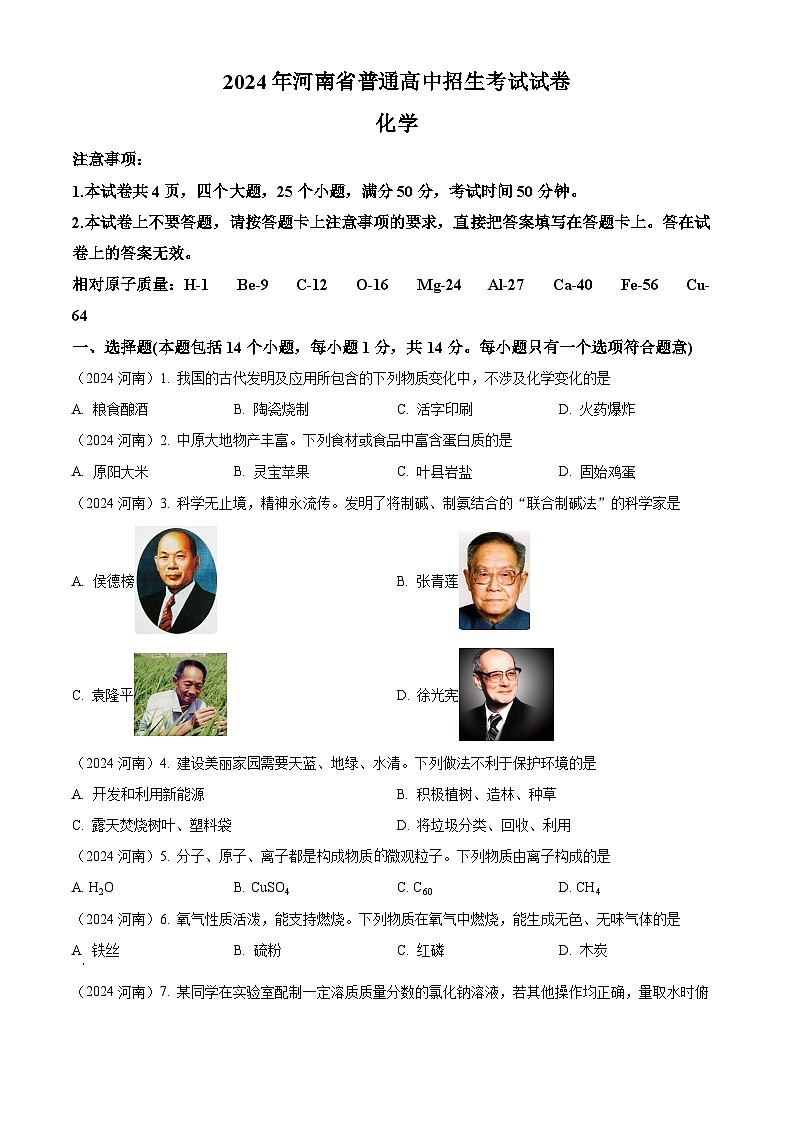 2024年河南省中考化学真题01