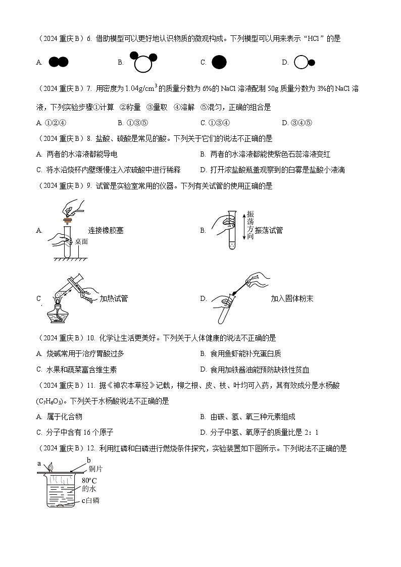 2024年重庆市中考化学真题(B卷)02