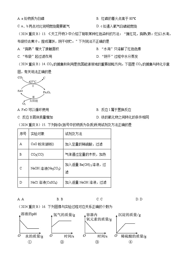 2024年重庆市中考化学真题(B卷)03