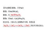 2024宁夏中考化学二轮重点专题突破 专题六 实验探究题（课件）