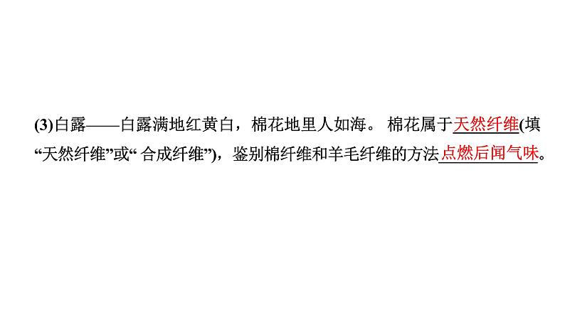 2024山东中考化学二轮重点专题突破 专题四 情境、材料类试题（课件）第4页