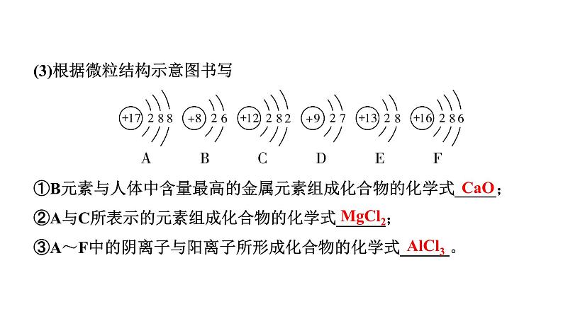 2024山东中考化学二轮专题复习 微专题 化学用语（课件）08